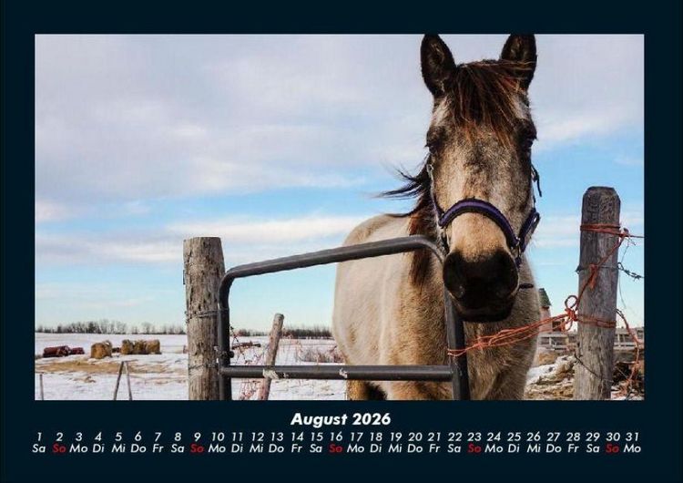 Produktbild: Die Welt der Pferde 2026 Fotokalender DIN A4
