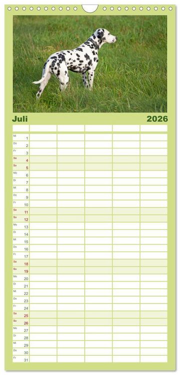 Produktbild: Familienplaner 2026 - Hunde - Beste Freunde der Menschen mit 5 Spalten (Wandkalender, 21 x 45 cm) CALVENDO