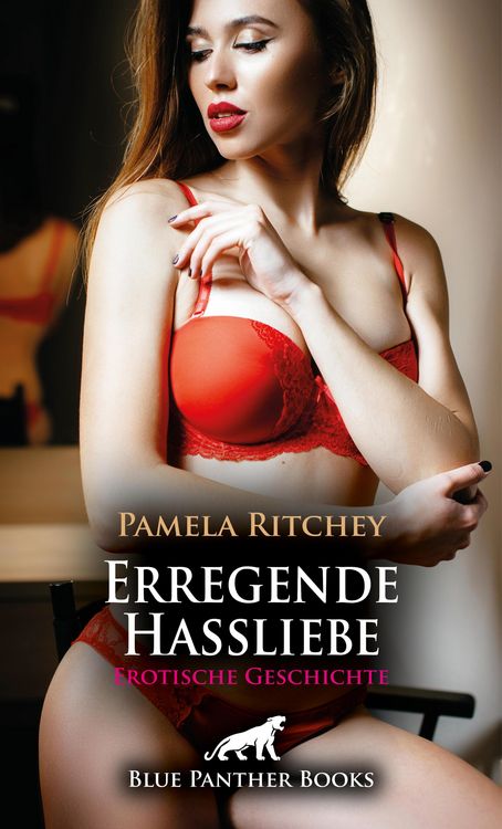 Produktbild: Erregende Hassliebe | Erotische Geschichte