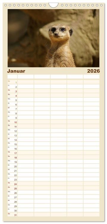 Produktbild: Familienplaner 2026 - Erdm&auml;nnchen: Zusammen sind wir stark mit 5 Spalten (Wandkalender, 21 x 45 cm) CALVENDO