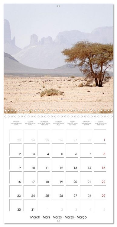 Produktbild: Desert - unknown exciting (Wall Calendar 2026 12 &times; 12 Inch) CALVENDO 12 Month Wall Calendar