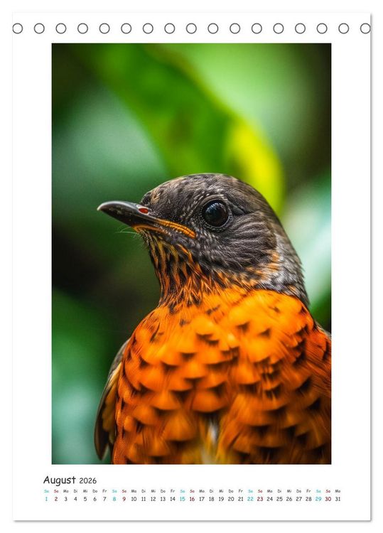 Produktbild: Exotische Sch&ouml;nheiten - pr&auml;chtig bunte V&ouml;gel (Tischkalender 2026 DIN A5 hoch), CALVENDO Monatskalender