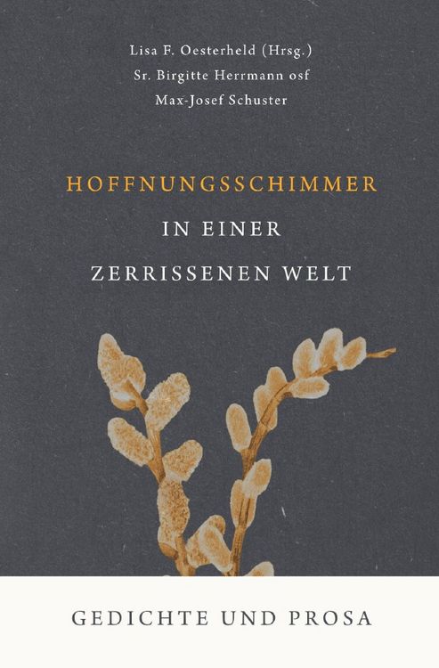 Produktbild: Hoffnungsschimmer in einer zerrissenen Welt