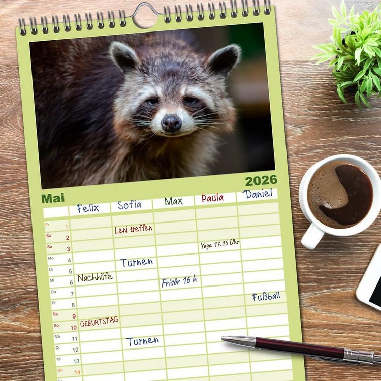 Produktbild: Familienplaner 2026 - Waschb&auml;r - Niedlicher Allesfresser mit 5 Spalten (Wandkalender, 21 x 45 cm) CALVENDO