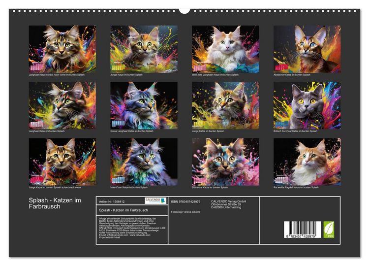 Produktbild: Splash - Katzen im Farbrausch (hochwertiger Premium Wandkalender 2026 DIN A2 quer), Kunstdruck in Hochglanz