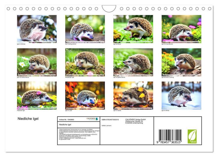 Produktbild: Niedliche Igel (Wandkalender 2026 DIN A4 quer), CALVENDO Monatskalender