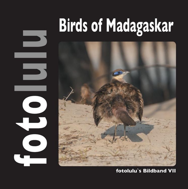 Produktbild: Birds of Madagaskar