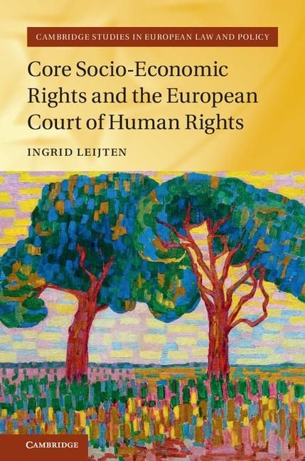 Produktbild: Core Socio-Economic Rights and the European Court of Human Rights