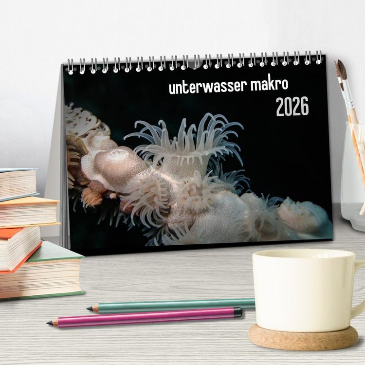 Produktbild: unterwasser makro 2026 (Tischkalender 2026 DIN A5 quer), CALVENDO Monatskalender
