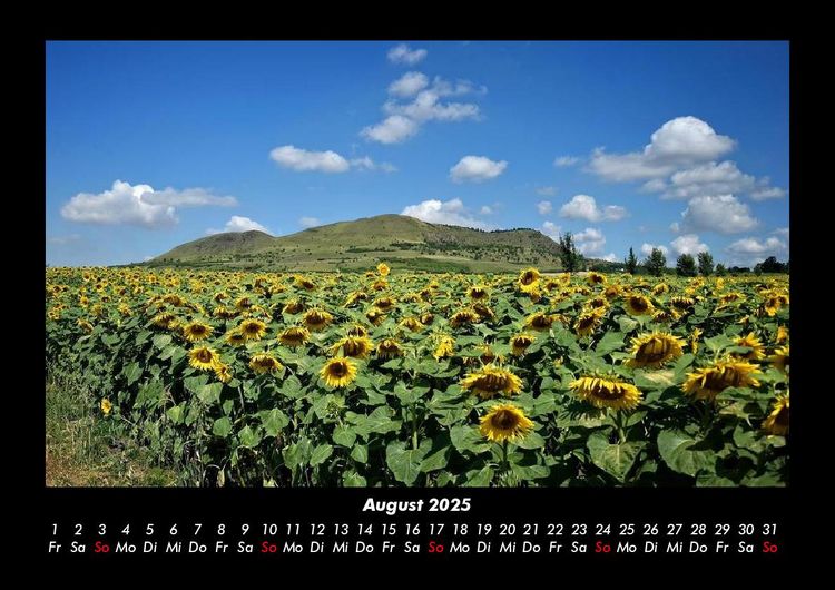 Produktbild: Blumenzauber 2025 Fotokalender DIN A3