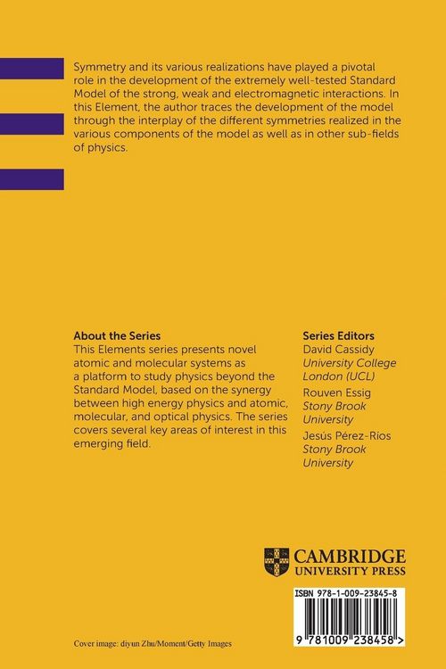 Produktbild: The Role of Symmetry in the Development of the Standard Model