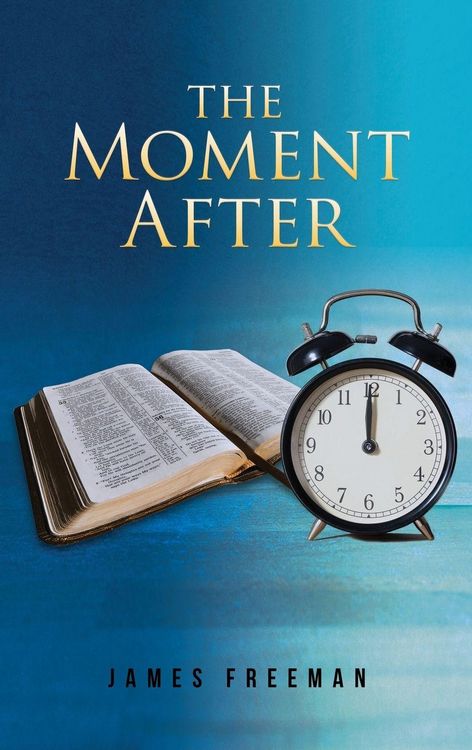 Produktbild: The Moment After