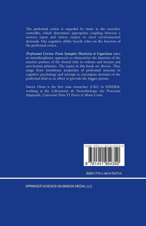 Produktbild: Prefrontal Cortex