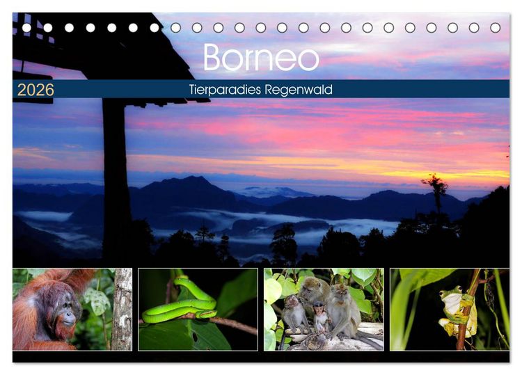 Produktbild: Borneo - Tierparadies Regenwald (Tischkalender 2026 DIN A5 quer), CALVENDO Monatskalender