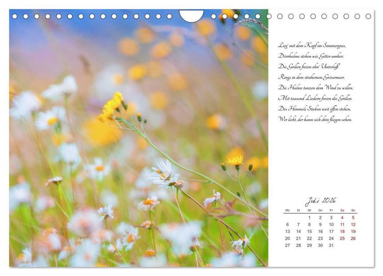 Produktbild: Max Dauthendey - Mit der Natur durchs Jahr (Wandkalender 2026 DIN A4 quer), CALVENDO Monatskalender