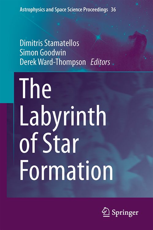 Produktbild: The Labyrinth of Star Formation