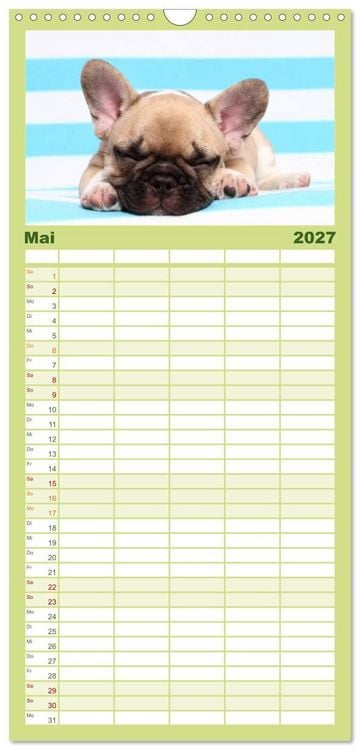 Produktbild: Familienplaner 2027 - Der Bully - Kalender Familienplaner hoch mit 5 Spalten (Wandkalender, 21 x 45 cm) CALVENDO