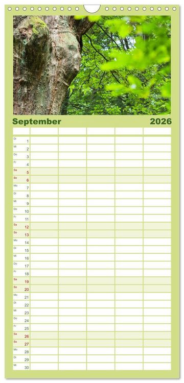 Produktbild: Familienplaner 2026 - Waldd&auml;monen mit 5 Spalten (Wandkalender, 21 x 45 cm) CALVENDO