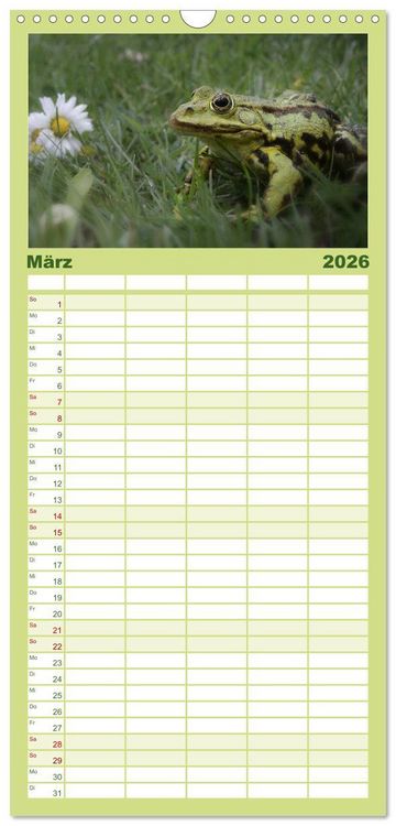 Produktbild: Familienplaner 2026 - Gl&uuml;ckliche Fr&ouml;sche mit 5 Spalten (Wandkalender, 21 x 45 cm) CALVENDO