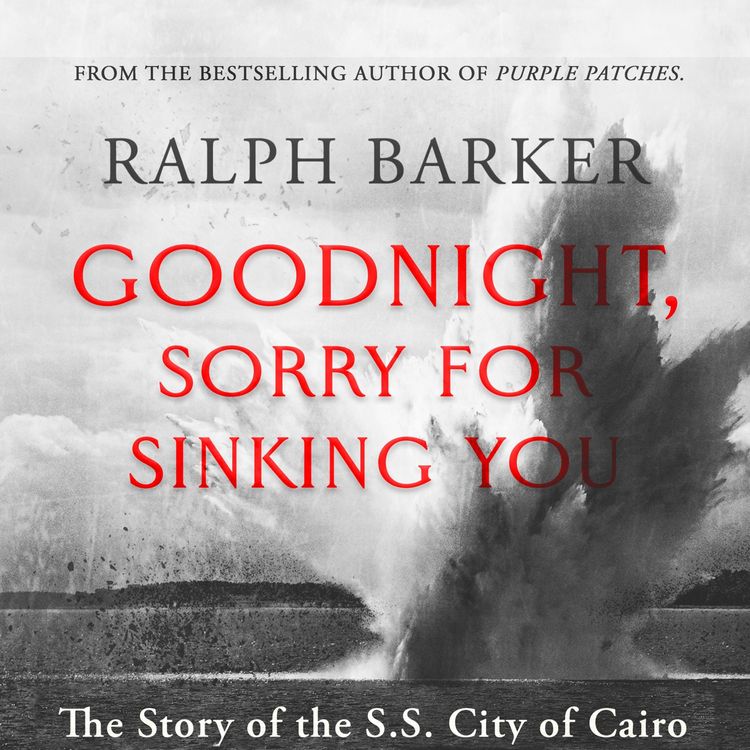 Produktbild: Goodnight, Sorry for Sinking You