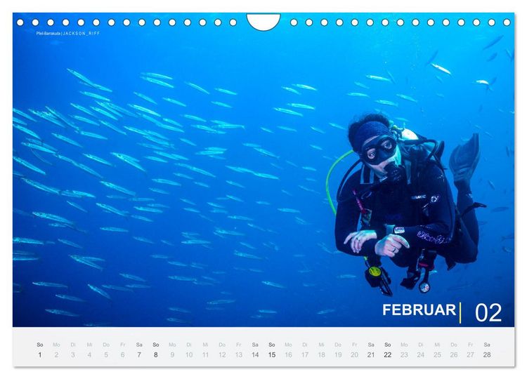 Produktbild: Die sch&ouml;nsten Korallenriffe zum Tauchen in &Auml;gypten (Wandkalender 2026 DIN A4 quer), CALVENDO Monatskalender