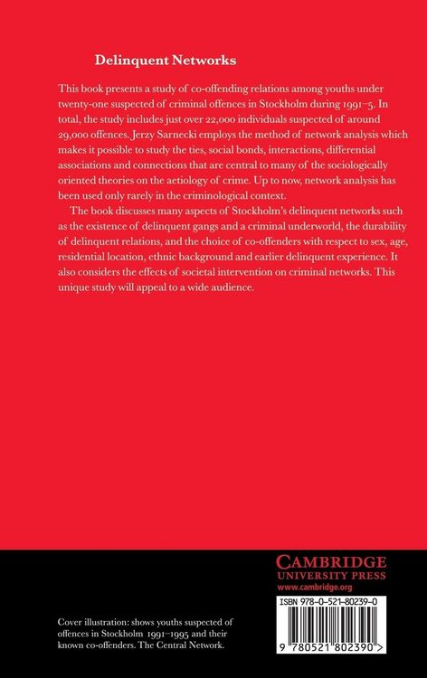 Produktbild: Delinquent Networks