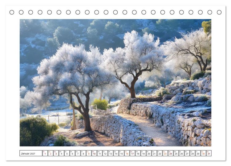 Produktbild: Die Magie der Olivenhaine (Tischkalender 2027 DIN A5 quer), CALVENDO Monatskalender