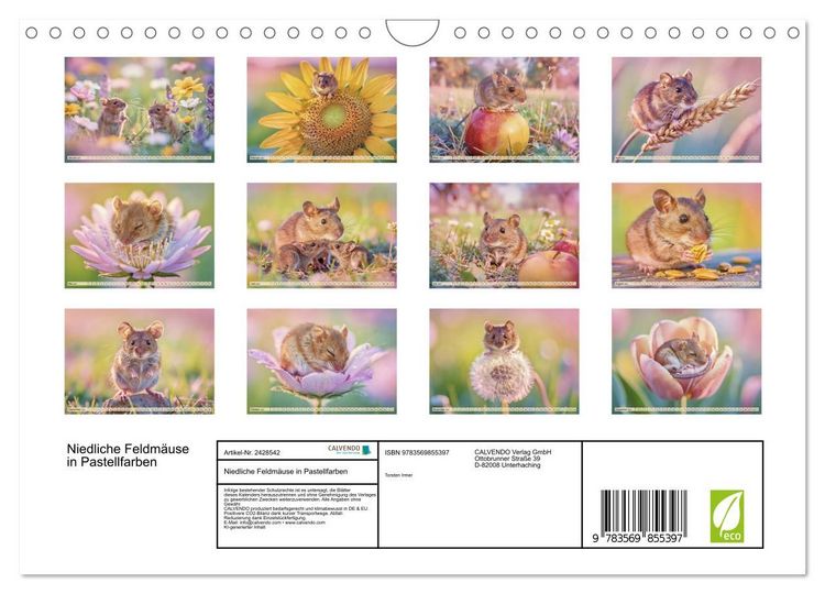 Produktbild: Niedliche Feldm&auml;use in Pastellfarben (Wandkalender 2027 DIN A4 quer), CALVENDO Monatskalender