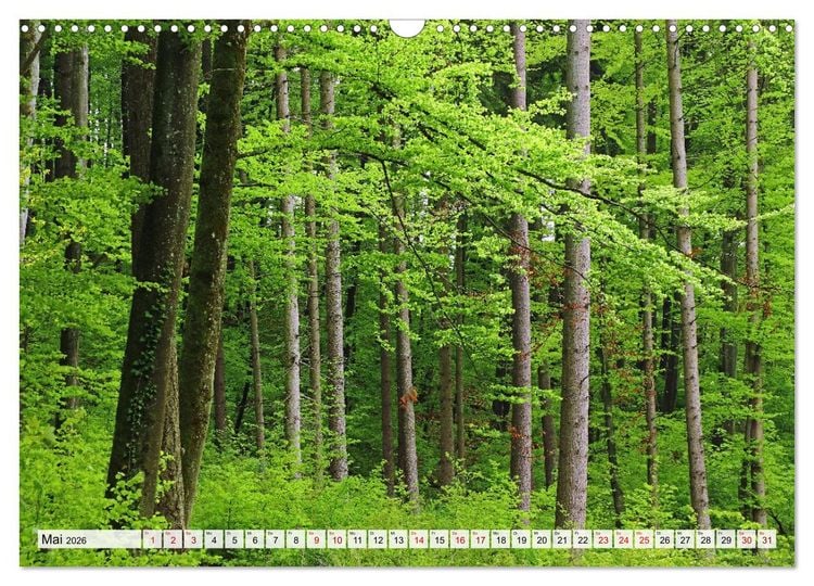 Produktbild: Hegau-Landschaften (Wandkalender 2026 DIN A3 quer), CALVENDO Monatskalender