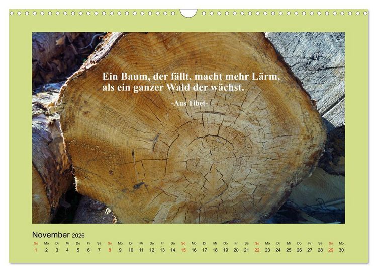Produktbild: Lebensweisheiten mit Bildern unterlegt (Wandkalender 2026 DIN A3 quer), CALVENDO Monatskalender