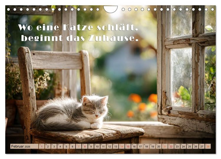 Produktbild: Miau-velous Pfotenpoesie (Wandkalender 2026 DIN A4 quer), CALVENDO Monatskalender