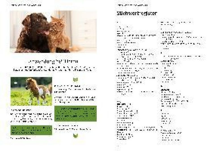 Produktbild: Erfahrungsberichte mit DMSO & Co.