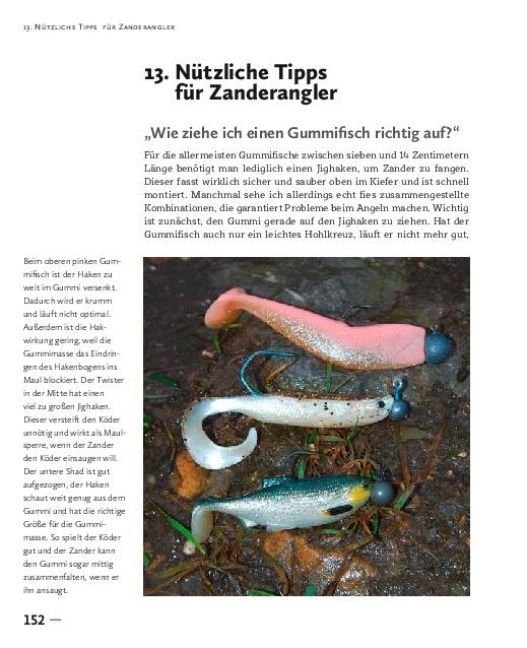 Produktbild: Faszination Zanderangeln