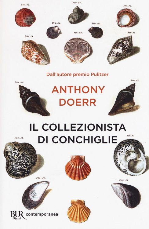 Produktbild: Il collezionista di conchiglie