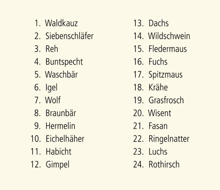 Produktbild: Sound-Adventskalender - Hört ihr die Tiere im Winterwald?