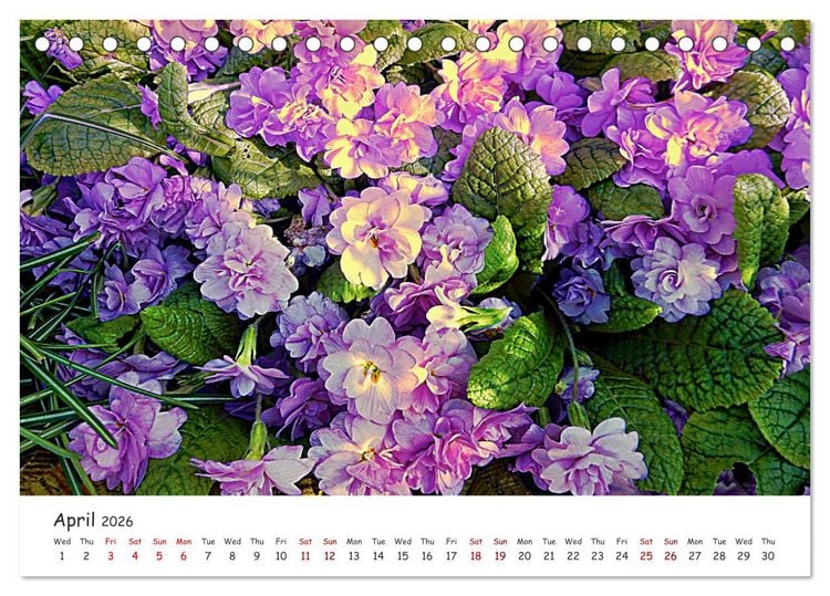 Produktbild: Vivacious Florals (Desk Calendar 2026 DIN A5 landscape), CALVENDO 12 Month DeskCalendar