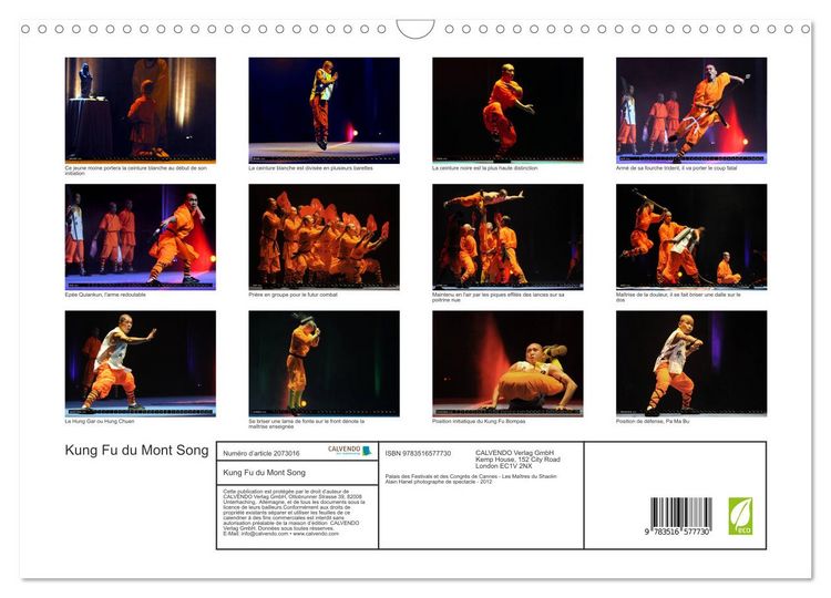 Produktbild: Kung Fu du Mont Song (Calendrier mural 2026 DIN A3 vertical), CALVENDO calendrier mensuel