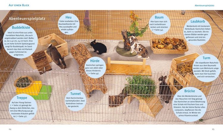 Produktbild: Zwergkaninchen