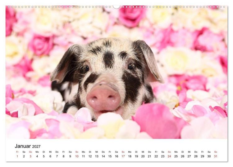 Produktbild: lach mit...just smile (hochwertiger Premium Wandkalender 2027 DIN A2 quer), Kunstdruck in Hochglanz