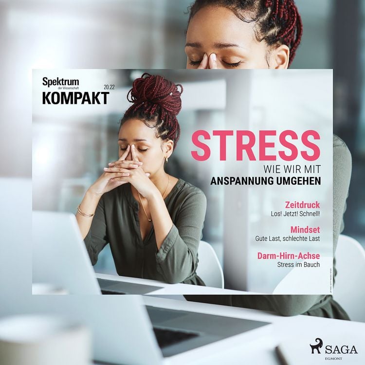 Produktbild: Spektrum Kompakt: Stress - Wie wir mit Anspannung umgehen