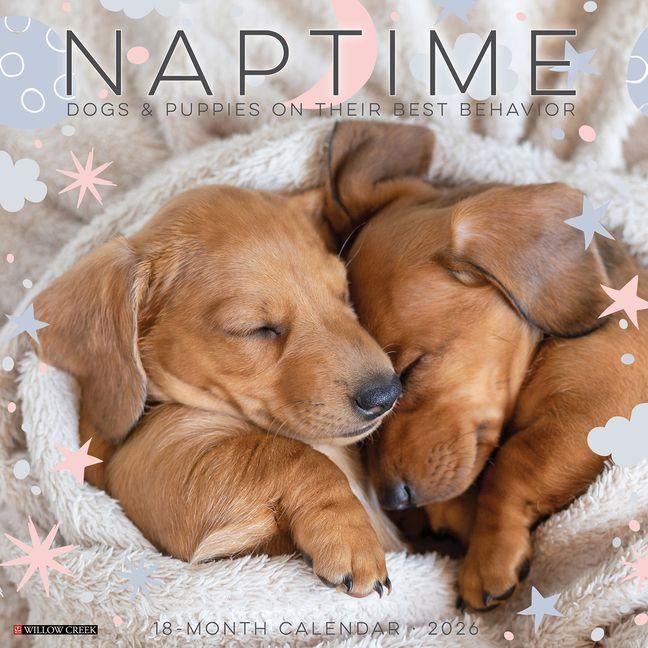 Produktbild: Naptime: Dogs & Puppies on Their Best Behavior 2026 Wall Calendar