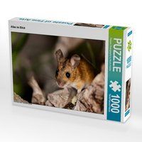 Produktbild: CALVENDO Puzzle Alles im Blick 1000 Teile Lege-Gr&ouml;&szlig;e 64 x 48 cm Foto-Puzzle Bild von Passion Photography by Nicole K&ouml;stler