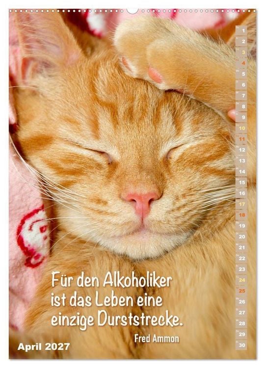 Produktbild: Der literarische Katerkalender (hochwertiger Premium Wandkalender 2027 DIN A2 hoch), Kunstdruck in Hochglanz