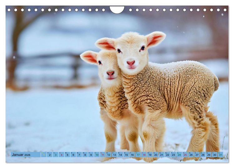 Produktbild: Tierkinder auf dem Land (Wandkalender 2026 DIN A4 quer), CALVENDO Monatskalender