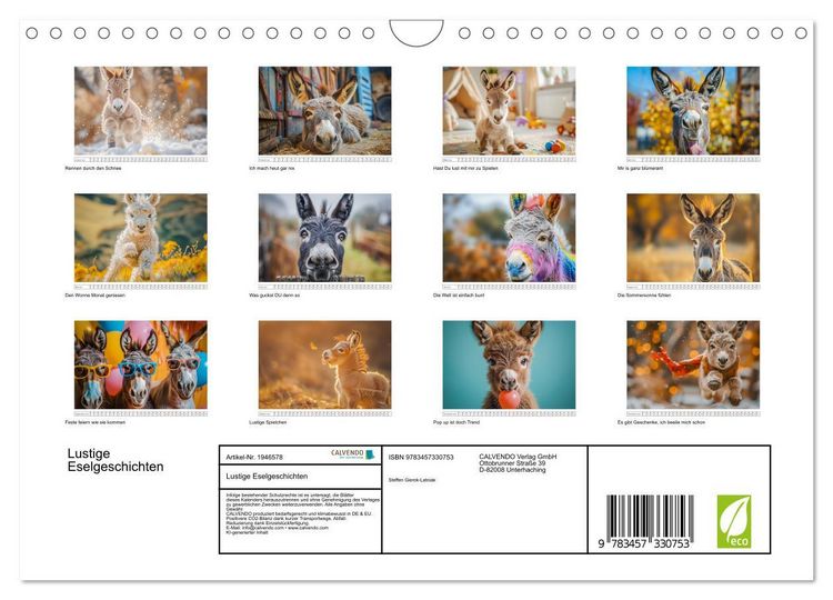 Produktbild: Lustige Eselgeschichten (Wandkalender 2026 DIN A4 quer), CALVENDO Monatskalender