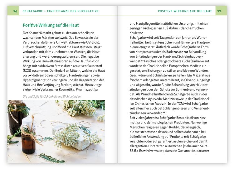 Produktbild: Die Schafgarbe &ndash; Allesk&ouml;nnerin unter den Heilpflanzen