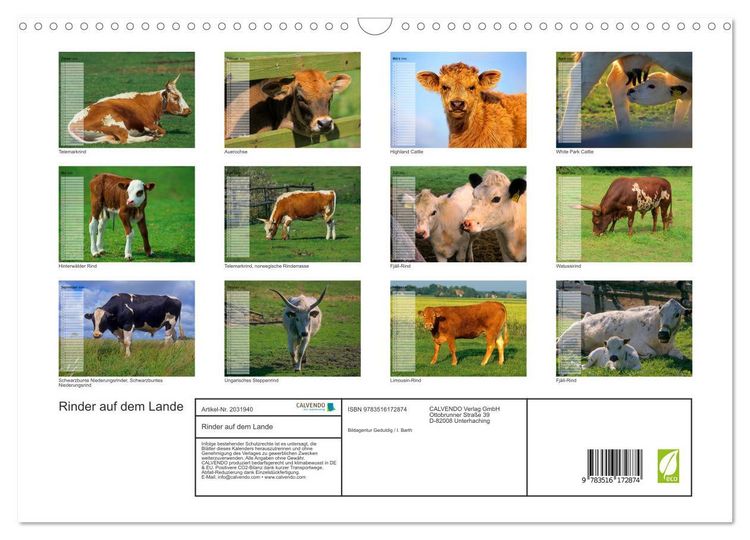 Produktbild: Rinder auf dem Lande (Wandkalender 2026 DIN A3 quer), CALVENDO Monatskalender