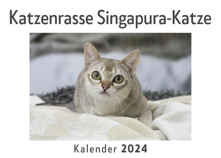 Produktbild: Katzenrasse Singapura-Katze (Wandkalender 2024, Kalender DIN A4 quer, Monatskalender im Querformat mit Kalendarium, Das perfekte Geschenk)