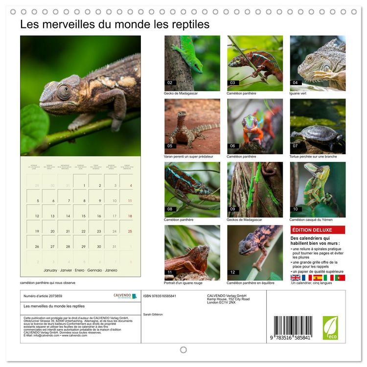 Produktbild: Les merveilles du monde les reptiles (Calendrier mural carr&eacute; 2026 30x30 cm) Calendrier double avec une page pour vos prises de notes