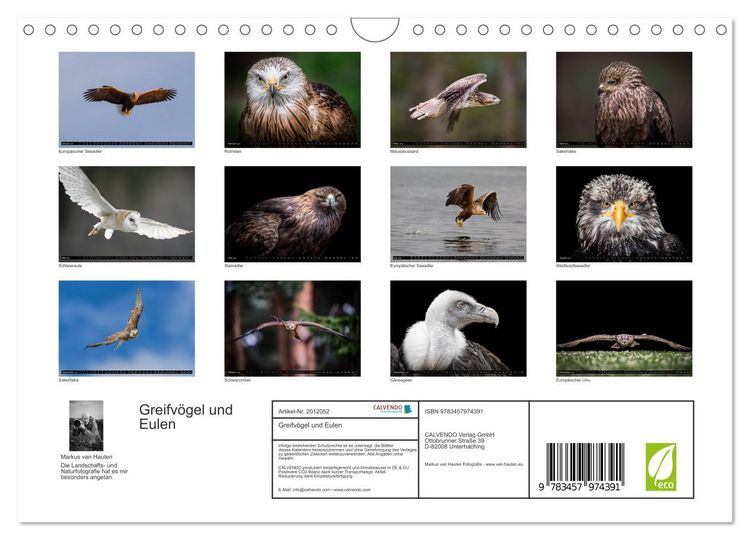 Produktbild: Greifv&ouml;gel und Eulen (Wandkalender 2026 DIN A4 quer), CALVENDO Monatskalender